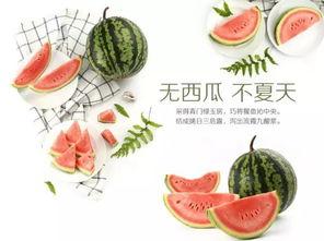 正能量 北京朝阳吃瓜,探寻北京正能量“吃瓜”之旅