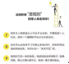 职场规则,解码高效沟通与团队协作